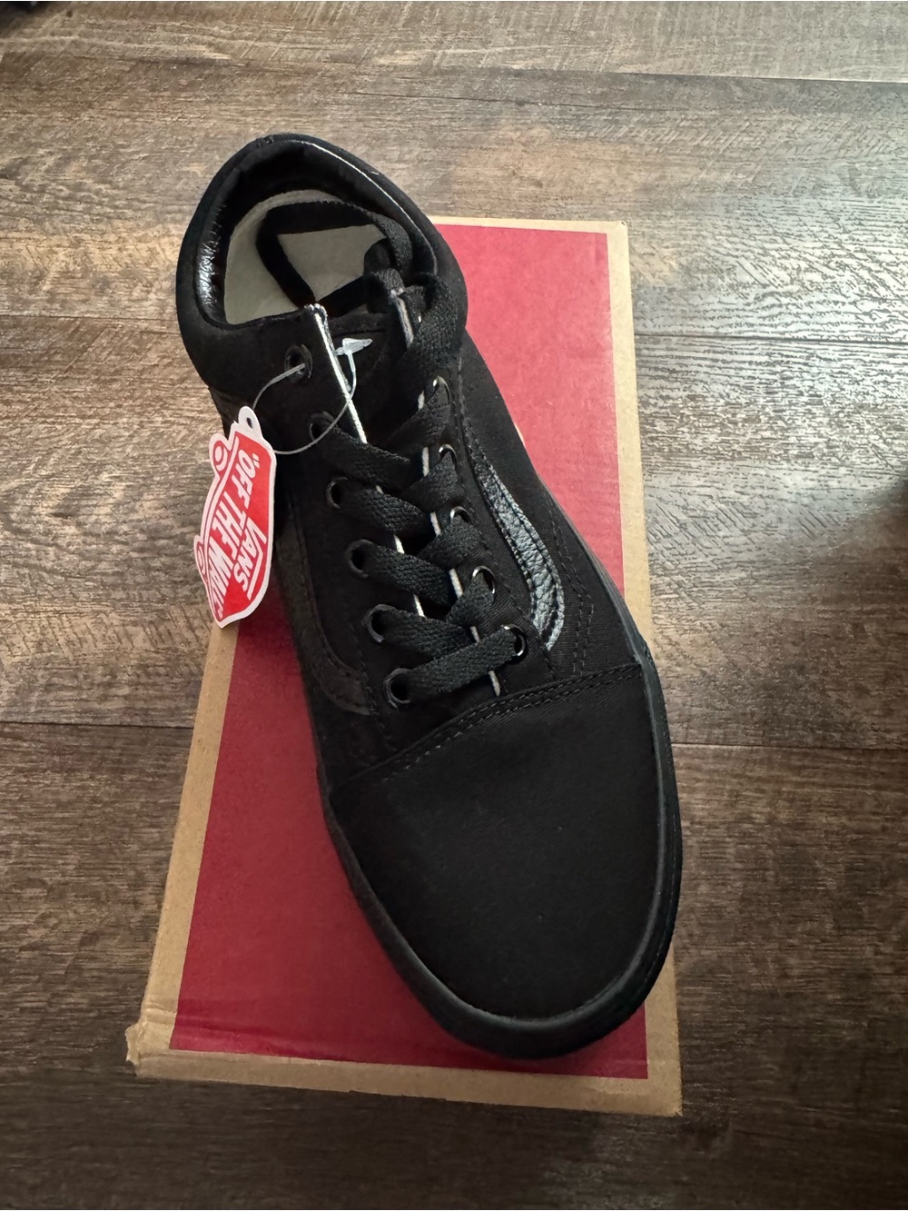 Vans Black Low-Top Canvas Skate Sneaker